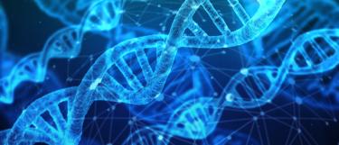 DNA