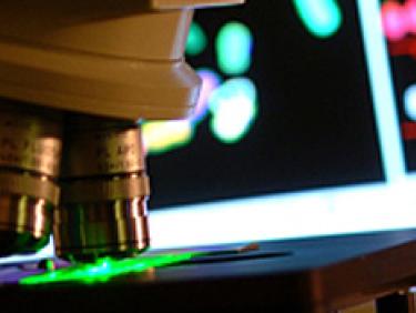 forschung_460x175